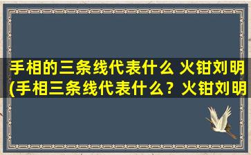 手相的三条线代表什么 火钳刘明(手相三条线代表什么？火钳刘明解释一下！)